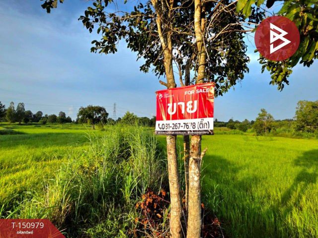 ขายที่ดิน เนื้อที่ 12 ไร่ 1 งาน 61.4 ตร.วา บรบือ มหาสารคาม