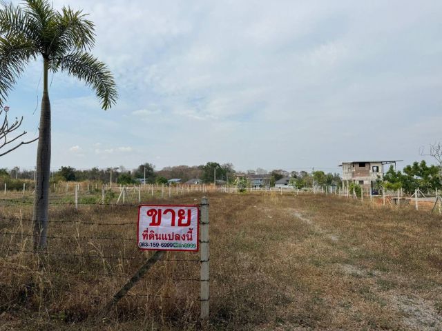 ขายด่วน! ที่ดินสวย 201ตรว. 620,000บ. อยู่ตรงข้ามร้านอาหารค่าเฟ่ ใกล้โรงบาลพระยุพราช จอมบึง ราชบุรี