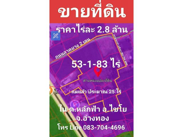 ขายที่ดิน ผังม่วง 53 ไร่ อ.ไชโย