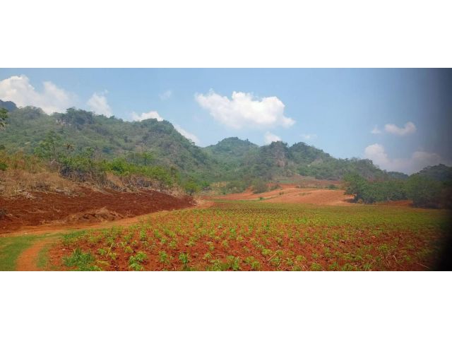ขายที่ดิน (ภบท.5).400ไร่ ไร่ละ25000-อ.ไทรโยค จ.กาญจนบุรี ที่ติดแนวภูเขา ดินดี อากาศดี เหมาะทำฟาร์ม/สวนผลไม้/ไร่สวนผสม