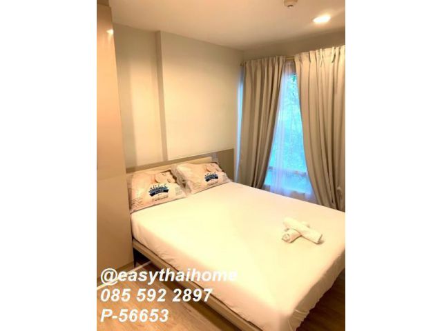 P-56653 ให้เช่าคอนโดหรูใจกลางทองหล่อ! The Crest Sukhumvit 49 1 ห้องนอน 34 ตร.ม. เพียง 19,000 บาท/เดือน มีอ่างอาบน้ำ