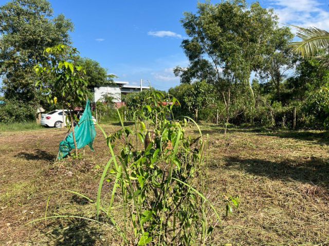 ที่ดิน 100 ตร.ว. ถมแล้ว มีโฉนดครุฑแดง วิวเขา มีเพื่อนบ้าน บรรยากาศดี