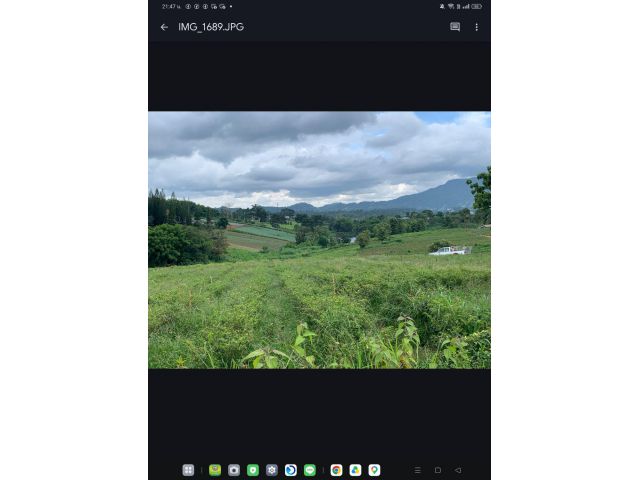ที่ดินเขาค้อวิวสวย10ไร่ราคาเบาๆ
