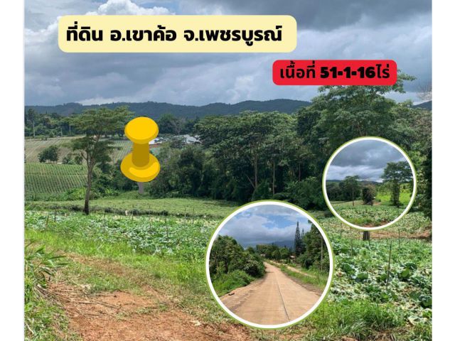 ที่ดินวิวสวยเขาค้อ51ไร่