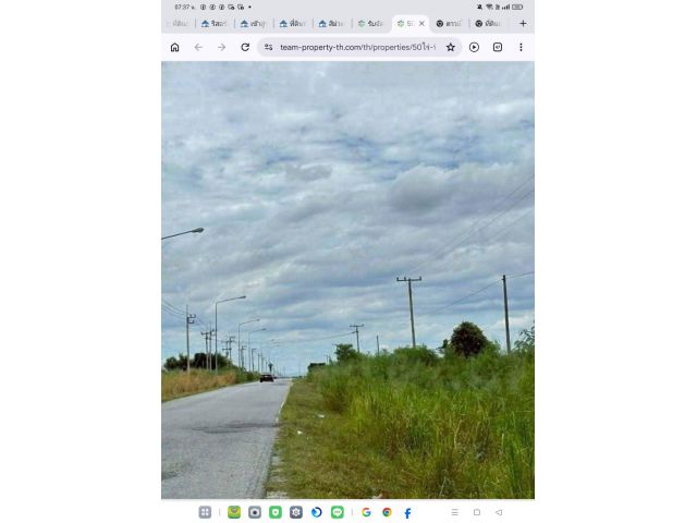 ที่ดินสีม่วง50ไร่ นิคมซอย10