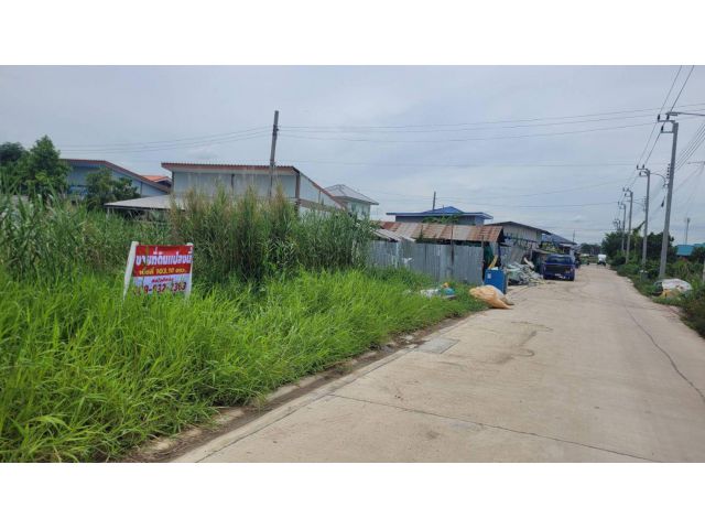 ขายที่ดิน 103.10 ตร.ว. บางกระดี่ 24 แยก 18 แสมดำ บางขุนเทียน ติดถนนคอนกรีต 2.5 ล้าน