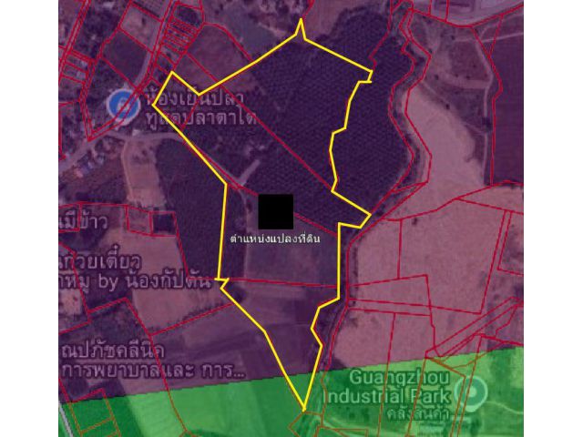 ขายที่ดินหนองกี่สีม่วง 65 ไร่ ติดนิคมยูด้า ใกล้ถนนเส้น304-3กม. อ.กบินทร์บุรี ปราจีนบุรี