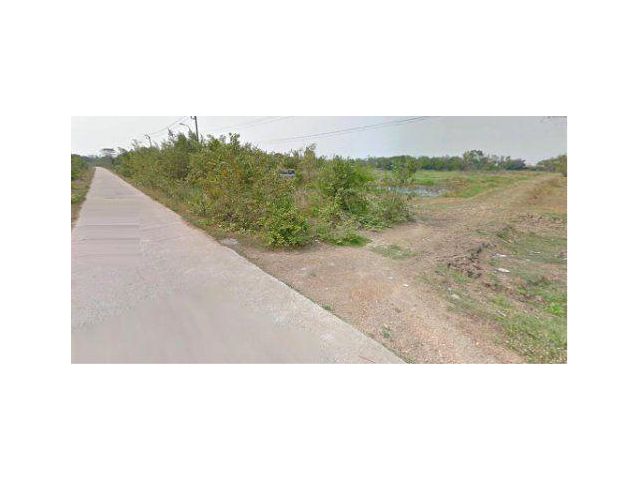 ขายที่ดิน 38 ไร่ ถนนประชาสัมราญ หนองจอก กรุงเทพฯ