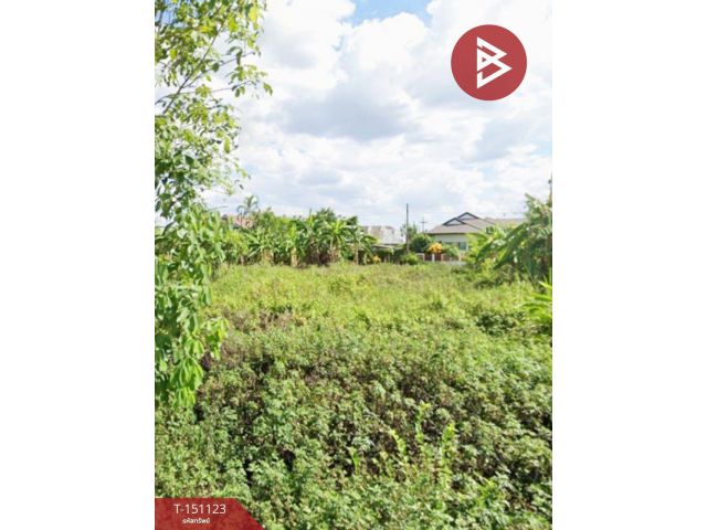 ขายที่ดิน เนื้อที่ 100 ตร.วา บ้านดู่ เชียงราย
