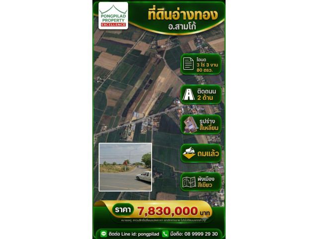 ขายที่ดินอ่างทอง สามโก้ โฉนด 3 ไร่ 3 งาน 80 ตรว. ติดถนน 2 ด้าน