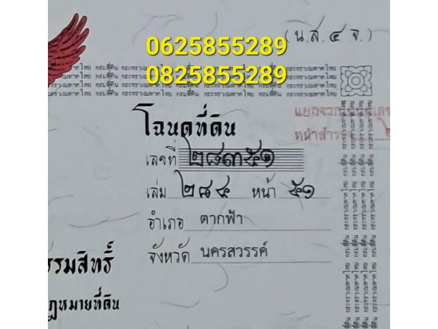ที่ดินเปล่า 558 ตรว.
