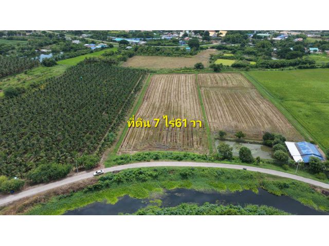 #ที่ดินโฉนดขุดแดงราชบุรีหนองกลางนา เนื้อที่ 7ไร่ 61วา ติดคลองใหญ่ มีดำทั้งปีเหมาะปลูกมะพร้าวน้ำหอม