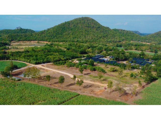 ที่ดิน โพธาราม ราชบุรี สด ผ่อนได้