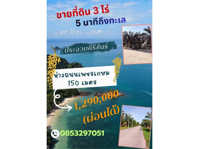 ขายสวนปาล์มเกือบ 3 ไร่ เมืองประจวบ (ผ่อนได้)