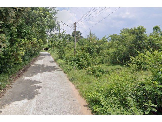 ขายที่ดิน 6 ไร่ ติดถนนคอนกรีต ต.ขามใหญ่ อ.เมืองอุบลราชธานี จ.อุบลราชธานี