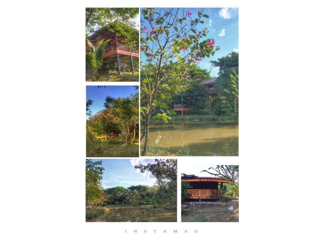 ขายที่ดินพร้อมบ้านพักตากอากาศ