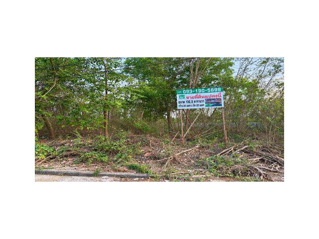 ขายที่ดิน 132.5 ตร.วา ในหมู่บ้านทองธัชการ ต.ถนนขาด จ.นครปฐม