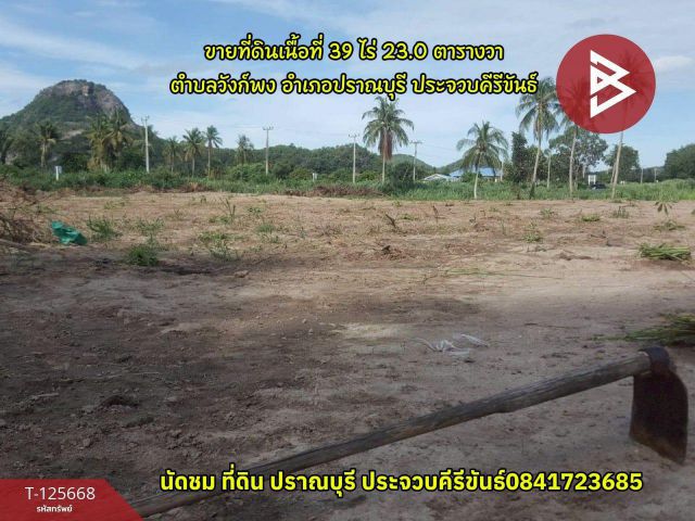 ขายที่ดินเนื้อที่ 39 ไร่ 23.0 ตารางวา ตำบลวังก์พง อำเภอปราณบุรี, ประจวบคีรีขันธ์