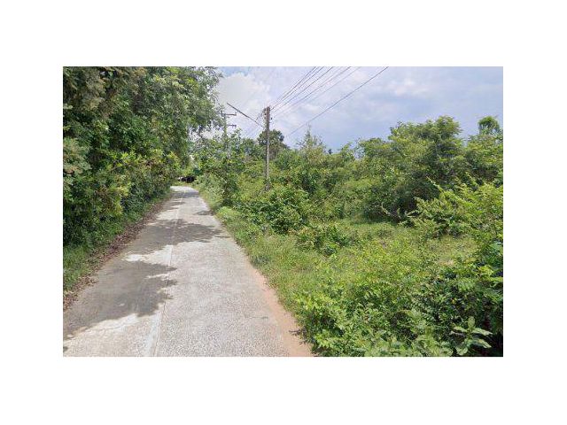 ขายที่ดิน 6 ไร่ ติดถนนคอนกรีต ต.ขามใหญ่ อ.เมืองอุบลราชธานี จ.อุบลราชธานี