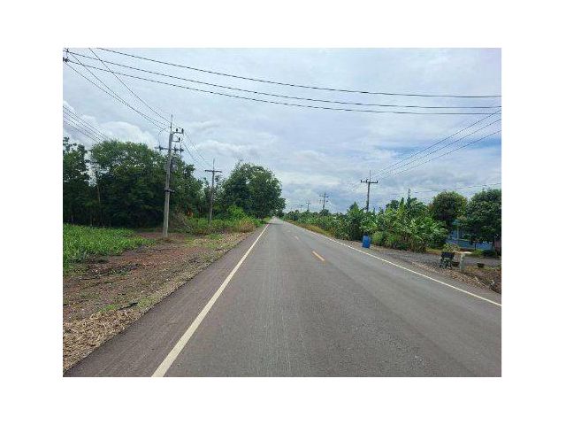 ขายที่ดิน 23 ไร่ ติดถนนสระบุรี-หล่มสัก ต.ช่องสาริกา อ.พัฒนานิคม จ.ลพบุรี