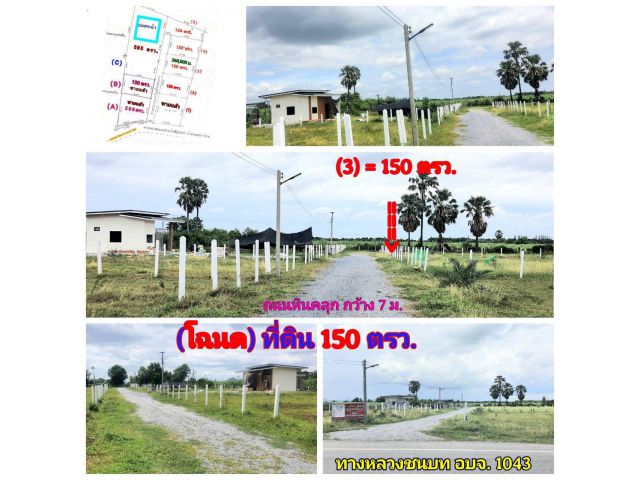 (โฉนด) ที่ดิน 150 ตรว. (ถมแล้ว) รั้ว (สำหรับที่อยู่อาศัย) หน้าติดถนนลาดยาง (ทางหลวงชนบท) ถนนหินคลุก ไฟฟ้า น้ำประปา ม.13 ต.ดอนคา อ.อู่ทอง จ.สุพรรณบุรี