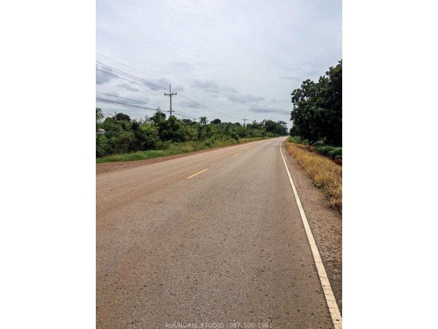 ขายที่ดิน 830 ไร่ ต.บ่อทอง อ.หนองม่วง จ.ลพบุรี