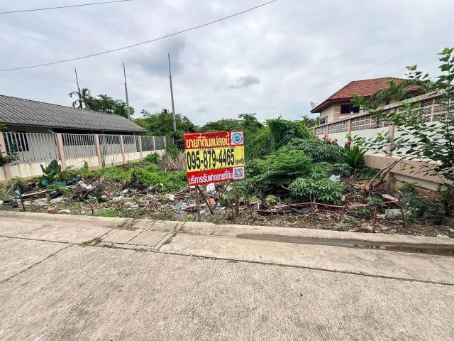 ขายด่วนที่ดินตลาดใหญ่ลำลูกกา 100 ตรว ติดถนนคอนกรีต ซ.เทศบาล 17 ลำลูกกา ปทุมธานี