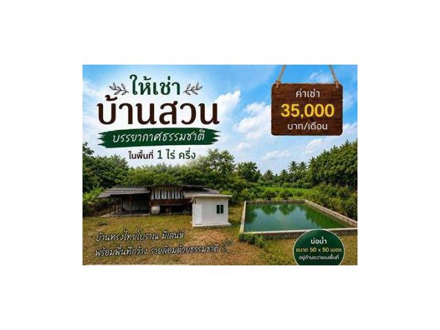 ให้เช่าบ้านสวน ชลบุรี พื้นที่ประมาณ 1 ไร่ครึ่ง