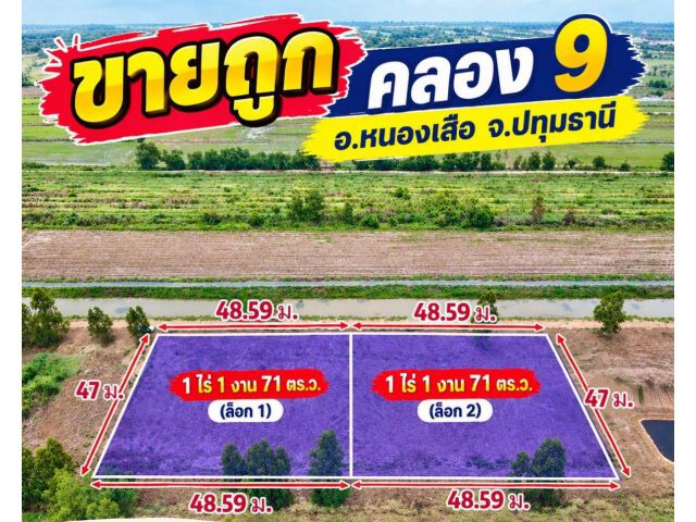 ขายถูกกว่าราคาประเมิน ที่สวย ทำเลดี อนาคตไกล คลอง 9 ต.บึงชำอ้อ อ.หนองเสือ จ.ปทุมธานี
