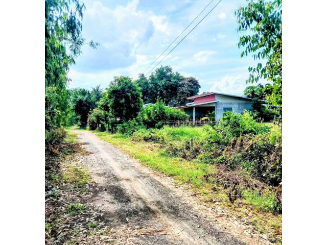 ที่ดินอยู่อาศัย โฉนดขนาด 1 ไร่เต็ม อ.นางรอง บุรีรัมย์
