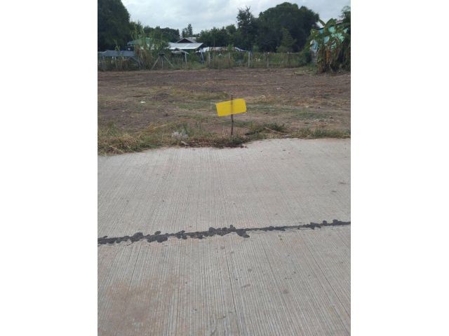 ขายด่วน