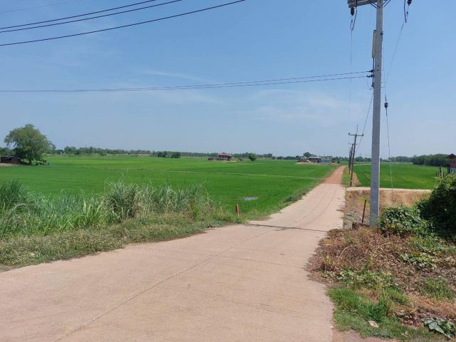 ขายที่ดิน 34 ไร่ ถ.พิษณุโลก-บางระกำ ต.บางระกำ อ.บางระกำ จ.พิษณุโลก