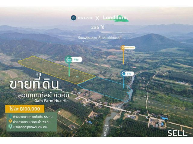ขายที่ดิน สวนคุณกัลย์ หัวหิน ที่ดินพร้อมสวน เก็บเกี่ยวได้ตลอดปี