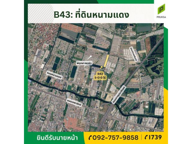 ขายที่ดินในโครงการพฤกษา อเวนิว ศรีนครินทร์ หนามแดง