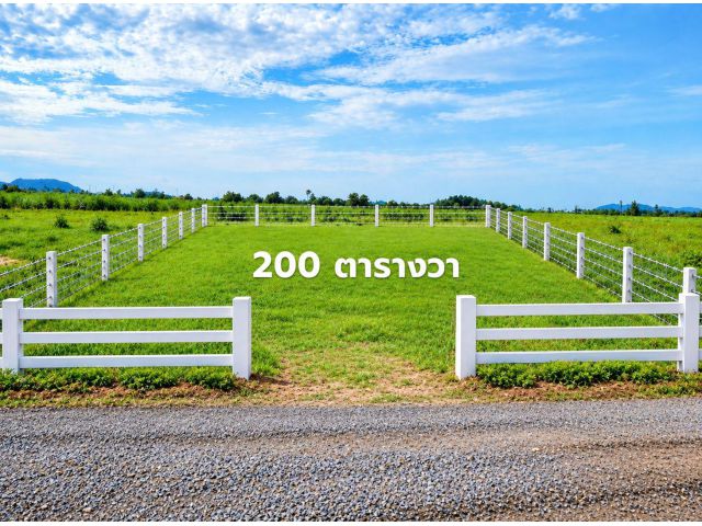 ขายที่ดินโฉนดครุฑแดง 200 ตรว. พร้อมล้อมรั้วลวดหนาม ตำบลรางสาลี่อำเภอท่าม่วงจังหวัดกาญจนบุรี