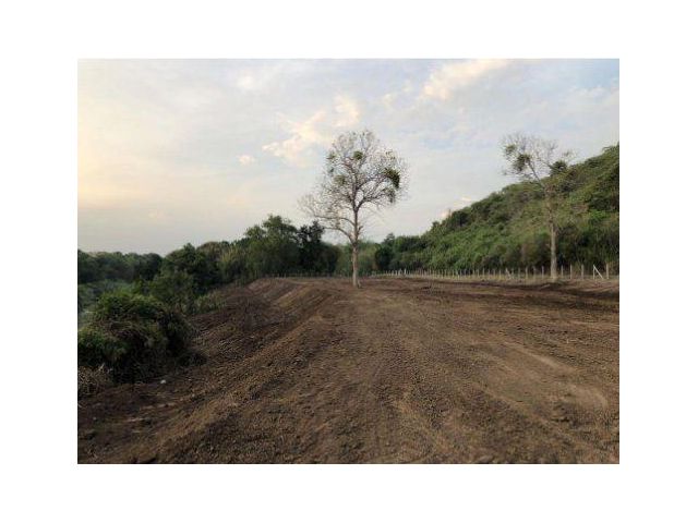 ขายที่ดิน 3 ไร่ ติดแม่น้ำป่าสัก ติดภูเขา ต.แสลงพัน อ.วังม่วง จ.สระบุรี