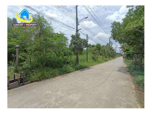 ขายที่ดิน 2 ไร่ ซอยนิลยาธร ถนนประชาพัฒนา แขวงทับยาว เขตลาดกระบัง