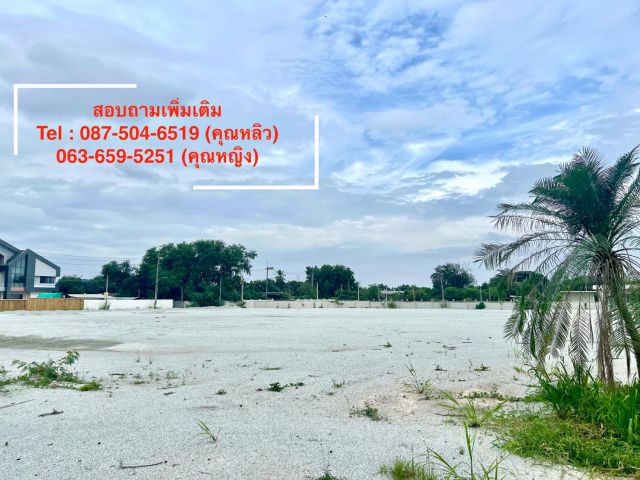 ขายถูก! ที่ดินถมแล้ว 6 ไร่ ติดถนนบ้านสวน–หนองข้างคอก ทำเลทอง