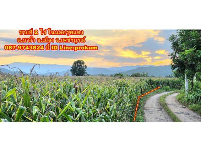 ขายที่ 2 ไร่เห็นวิวภูเขา