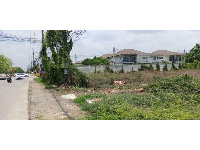 ขายที่ดิน 30 ไร่ คลองหก ใกล้ม.เทคโนโลยีราชมงคลธัญบุรี อ.คลองหลวง จ.ปทุมธานี