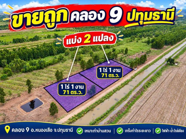 ขายถูกกว่าราคาประเมิน! ที่สวย ทำเลดี อนาคตไกล คลอง 9 ต.บึงชำอ้อ อ.หนองเสือ จ.ปทุมธานี มีเพียง 2 แปลงเท่านั้น!