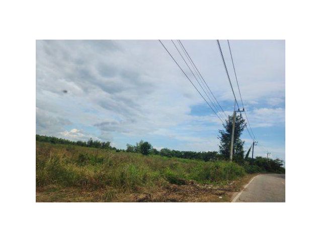 ขายที่ดิน 31 ไร่ ต.ท่ากระดาน อ.สนามชัยเขต จ.ฉะเชิงเทรา