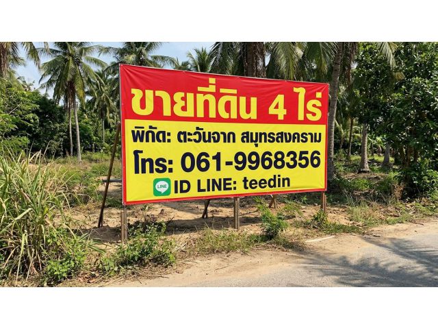 ขายที่ดิน 4 ไร่ ตะวันจาก สมุทรสงคราม