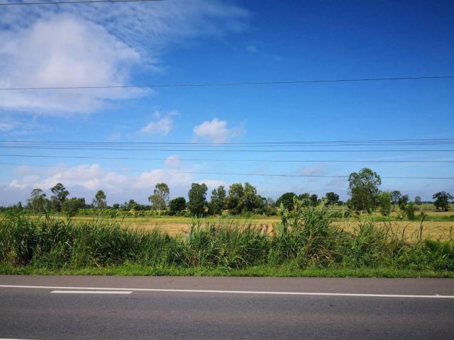 ขายที่ดินคู้ลำพัน 12 ไร่ ติดถนนเส้นสุวินทวงศ์319 อ.ศรีมโหสถ ปราจีนบุรี