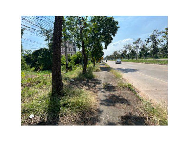 ขายที่ดิน 7 ไร่ ติดถนน 117 ใกล้มหาวิทยาลัยนเรศวร ต.ท่าโพธิ์ อ.เมือง จ.พิษณุโลก