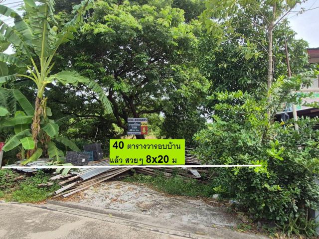 ขายที่ดินสร้างบ้านที่พักสายไหมซอย 6 หรือพหลโยธิน 54/1แยก 8-4-3 แปลงจัดสรร ถ.คอนกรีตรอบด้วยบ้านดีๆ 40 ตารางวา แปลงเดียวที