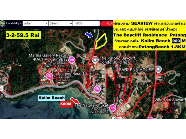 ขายที่ดิน 3-2-59.5 ไร่ RAI ซีวิว SEAVIEW ป่าตอง ภูเก็ต แปลง GOLDEN LAND เนินเขาทำเลดีเยี่ยม เซอวิส คอนโดขึ้นมากรอบๆดีมาก