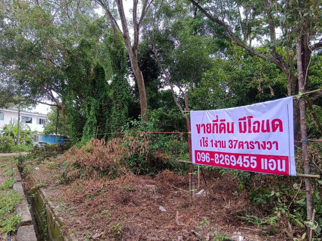 ขายที่ดินราคาถูกสิเหร่ภูเก็ต