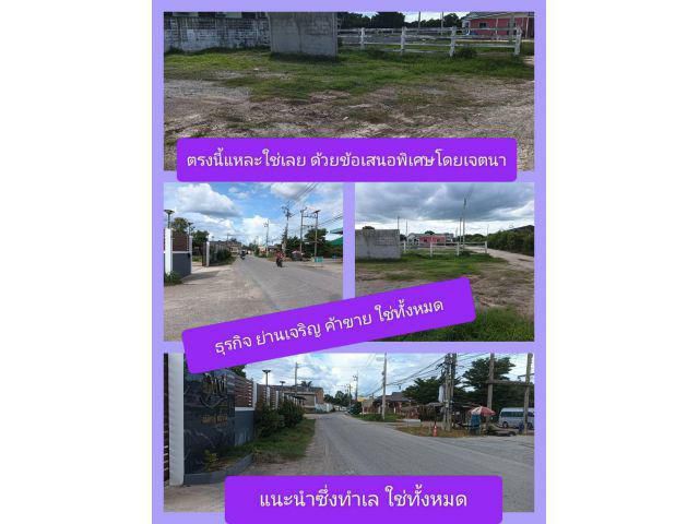 อยากมีที่ อยากให้มีเราช่วยนำเสนอจะได้เจอะเจอแต่แปลงดีๆมีคุณสมบัติ ชัดโดนใจย่านธุรกิจชุมชนย่านค้าขายที่อาศัยตรงจุดตรงใจ