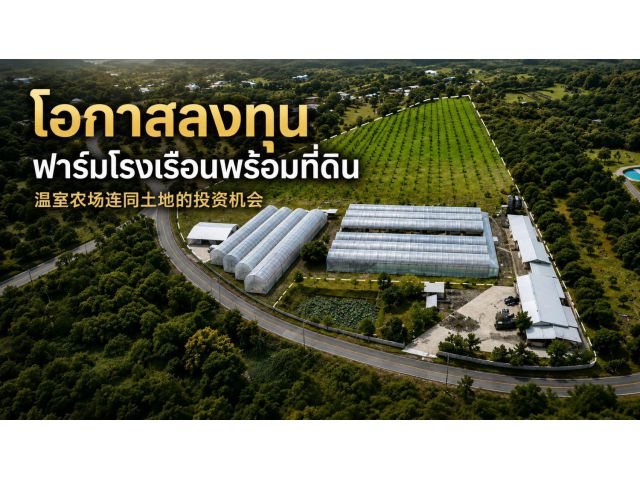 เจ้าของขายเอง | ขายโรงเรือนพร้อมที่ดิน 19 ไร่กว่า ต.นครเจดีย์ อ.ป่าซาง จ.ลำพูน